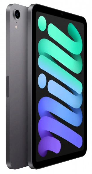 Apple iPad mini 7 (2024) Wi-Fi 256Гб Космический серый (MXNA3). Фото 2