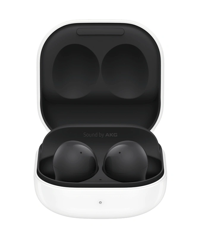 Беспроводные наушники Samsung Galaxy Buds 2, Graphite (SM-R177). Фото 1
