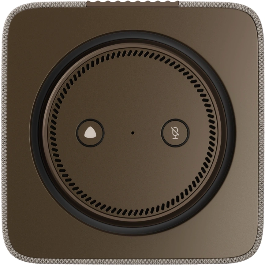 Умная колонка Яндекс.Станция MAX с Zigbee, Бежевый (YNDX-00053E). Фото 2