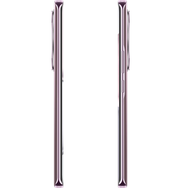 Смартфон Honor X9c 12/256Gb Titanium Purple (BRP-NX1). Фото 10