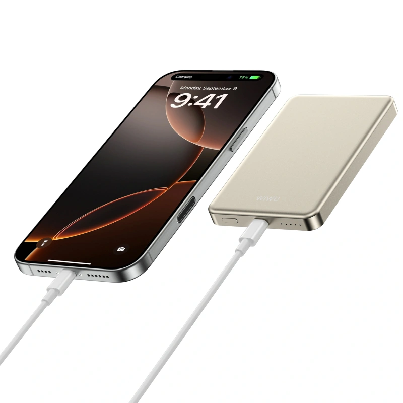 Внешний аккумулятор Wiwu Ultra Thin Magnetic 5000mAh, Gold (Wi-P15). Фото 5