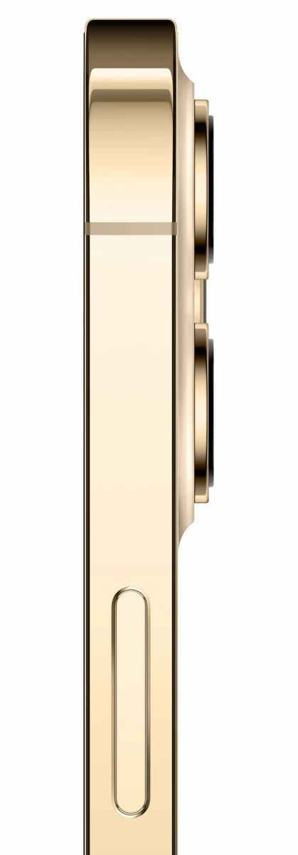 Смартфон Apple iPhone 12 Pro Max 256Gb Gold (MGDE3RU/A)