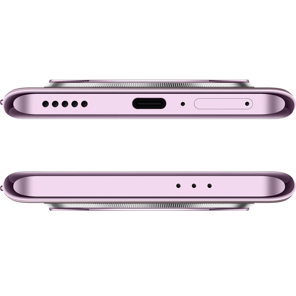 Смартфон Honor X9c 8/256Gb Titanium Purple (BRP-NX1)