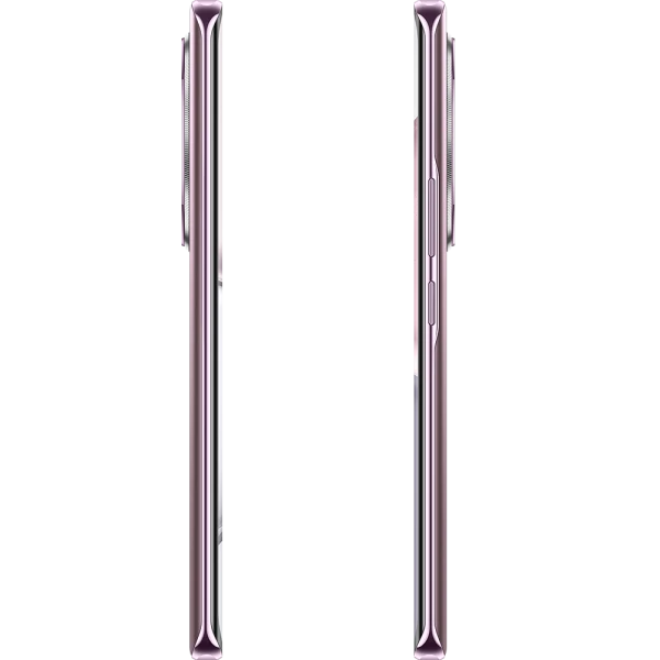 Смартфон Honor X9c 8/256Gb Titanium Purple (BRP-NX1)