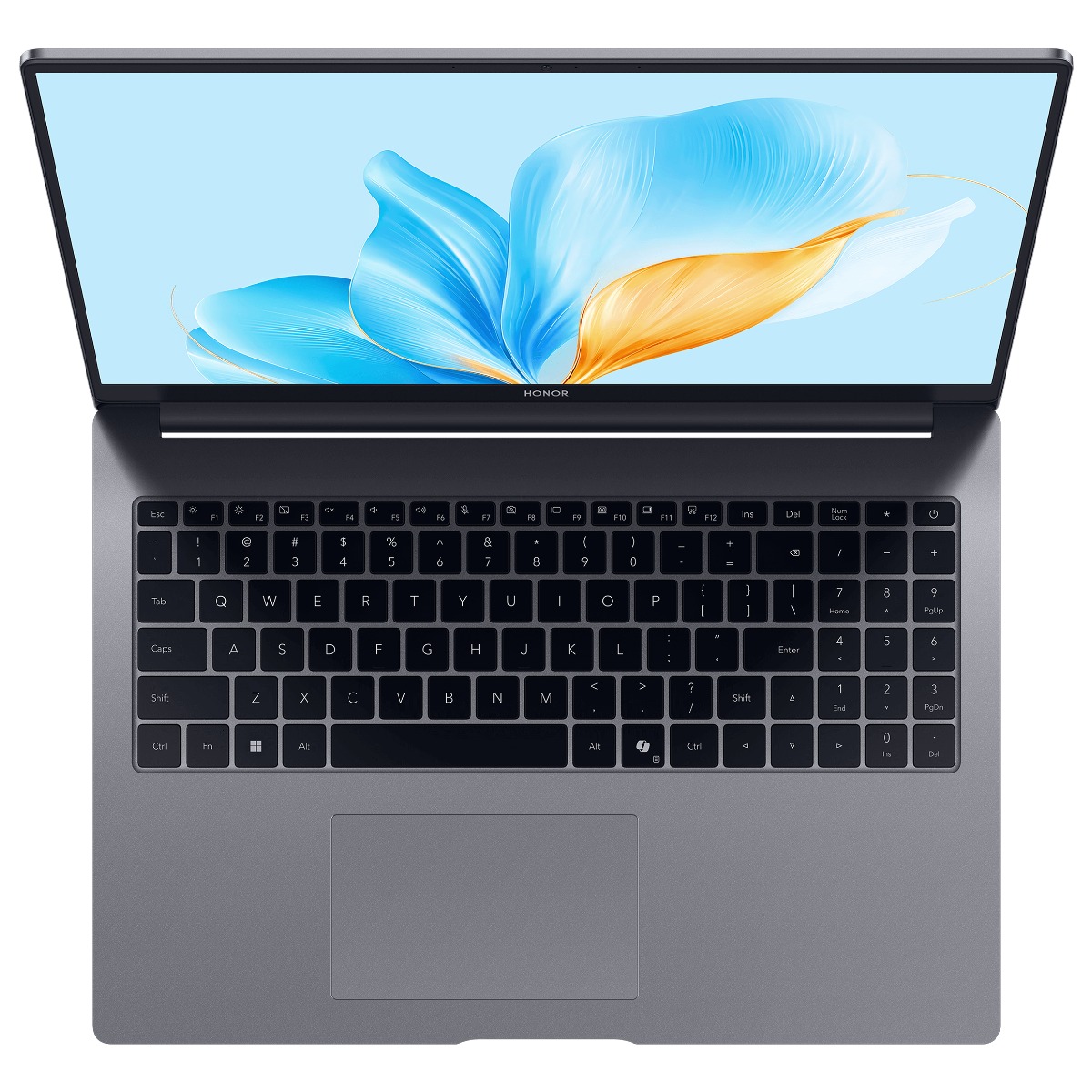 Купить ноутбук Honor MagicBook X16 2025 Space Gray BRG-565 в городе ...