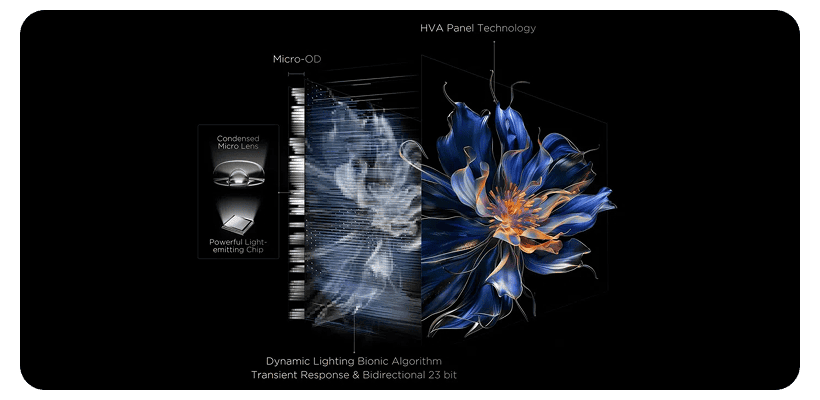 TCL-65-C6K-Premium-QD-MiniLED-TV-65C6K-04